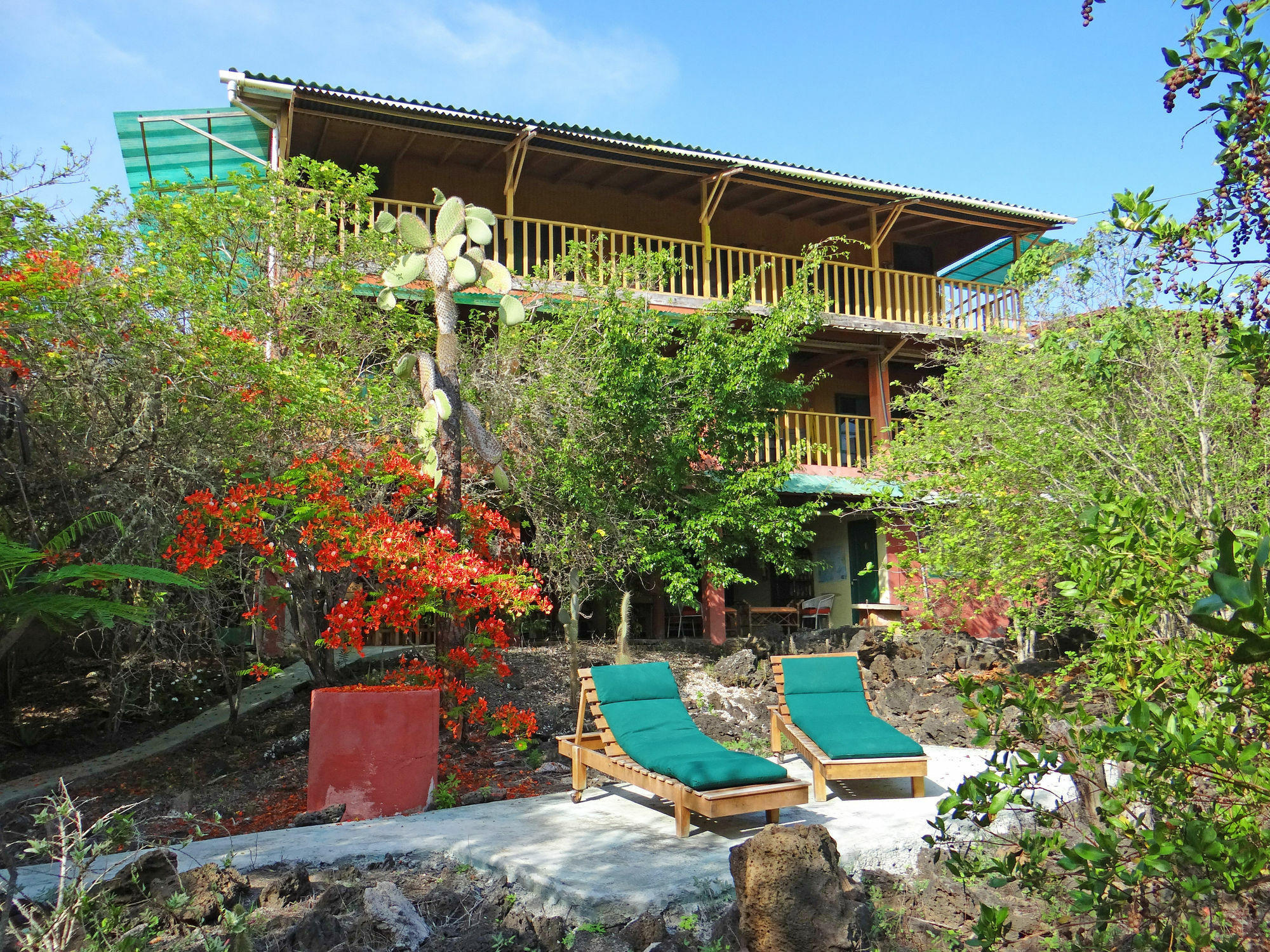 Galapagos Chalet Puerto Ayora  Exteriör bild