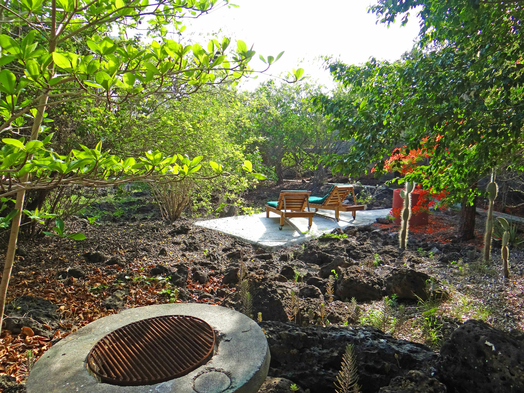 Galapagos Chalet Puerto Ayora  Exteriör bild