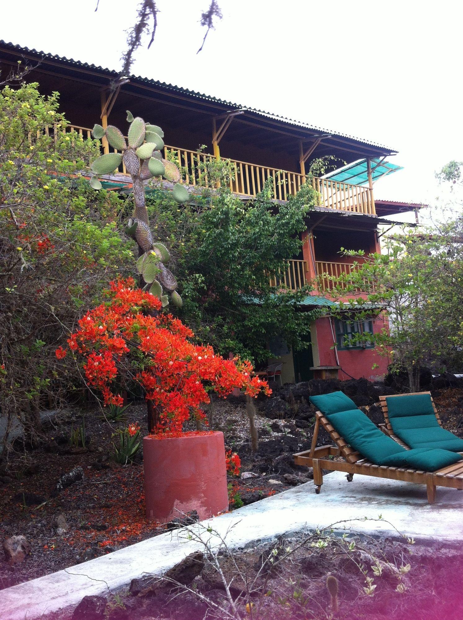 Galapagos Chalet Puerto Ayora  Exteriör bild