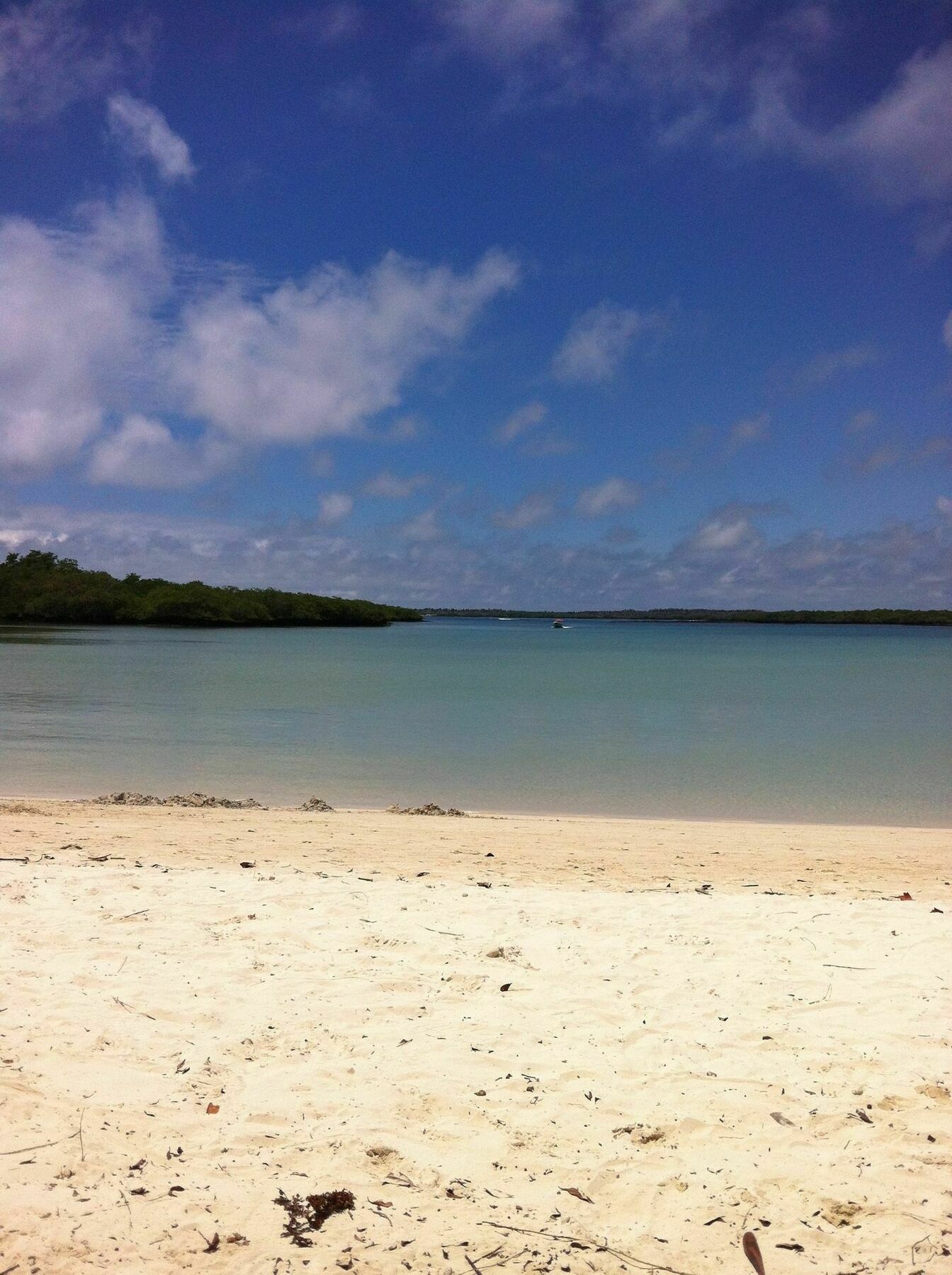 Galapagos Chalet Puerto Ayora  Exteriör bild